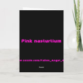 Carte de voeux Pink Nasturtium personnalisable (Dos)