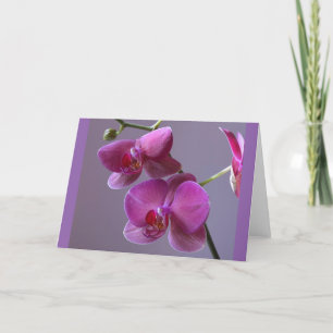 Carte de voeux Pinkish violet phalaenopsis orchidé
