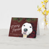 Carte de vœux Pit Bull Christmas "Joyeux Pitmas" (Fleur jaune)