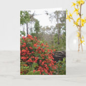 CARTE DE VOEUX - plante grimpante de corail (Fleur jaune)