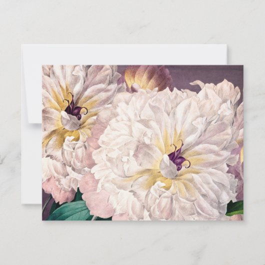 Carte de voeux Plat Pink Peonies (Devant)