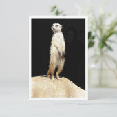 Carte de vœux plate - Amour de suricate (Debout devant)