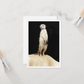 Carte de vœux plate - Amour de suricate (Devant/Arrière en situation)