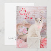 Carte de vœux plate de chaton Ragdoll (Devant / Derrière)