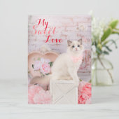 Carte de vœux plate de chaton Ragdoll pour les fêt (Debout devant)