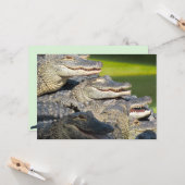Carte de voeux plate des Alligators américains (Devant/Arrière en situation)
