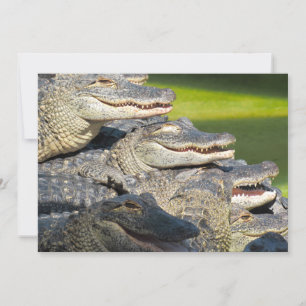 Carte de voeux plate des Alligators américains