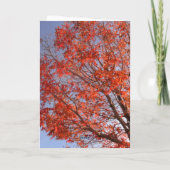 Carte de voeux pliée (Dos)