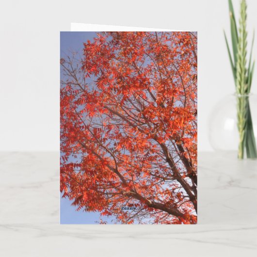 Carte de voeux pliée (Dos)