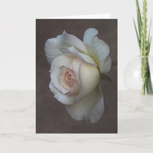 Carte de voeux pliée (Devant)