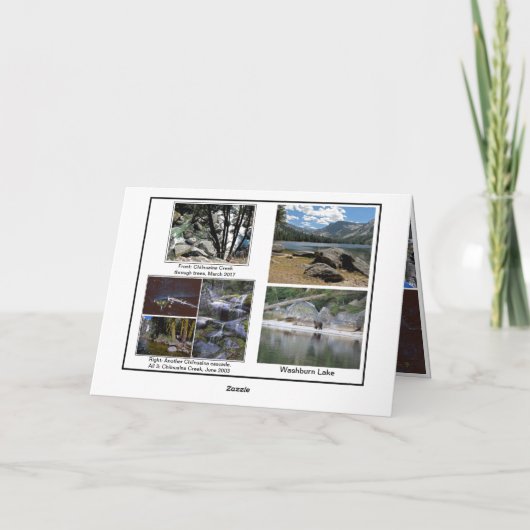 Carte de voeux pliée (Dos)