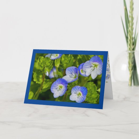 Carte de voeux pliée (Devant)