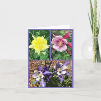 Carte de voeux pliée