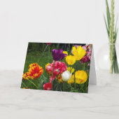 Carte de vœux pliée 5" x 7" (Devant)