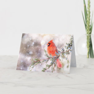 Carte de voeux pliée 5" x 7" Dreamer, Cardinal Rou
