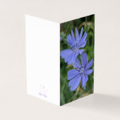 Carte de vœux pliée à la fleur de chicorée (Outside)