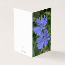 Carte de vœux pliée à la fleur de chicorée