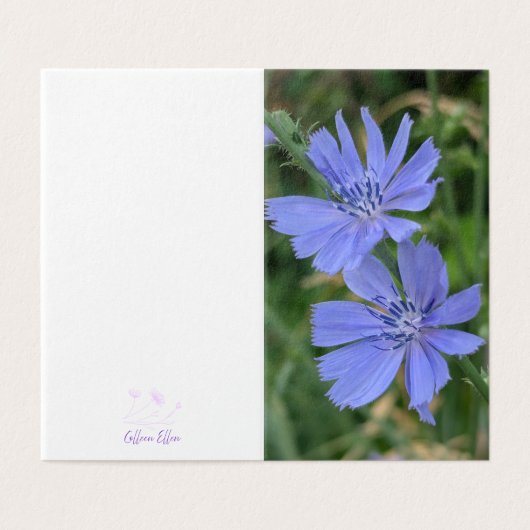 Carte de vœux pliée à la fleur de chicorée (Outside Unfolded)