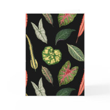 Carte de vœux pliée à motif de feuille de plante v
