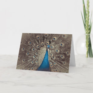 Carte de vœux pliée au paon bleu antique