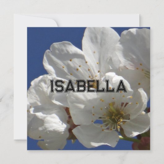 Carte de voeux pliée aux fleurs blanches mignonnes (Devant)