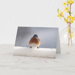 Carte de voeux pliée aux oiseaux bleus
