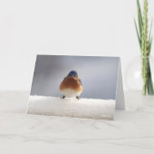 Carte de voeux pliée aux oiseaux bleus (Devant)