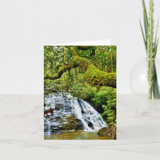 Carte de voeux pliée avec cascade (Devant)