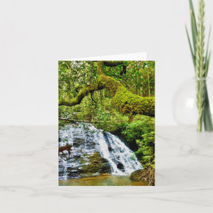 Carte de voeux pliée avec cascade