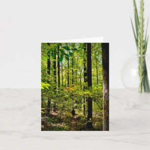 Carte de voeux pliée avec motif randonnée de forêt
