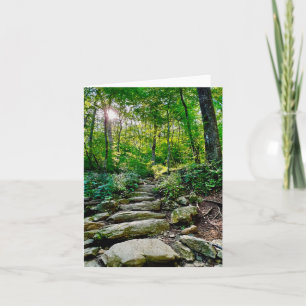 Carte de voeux pliée avec photo du chemin forestie