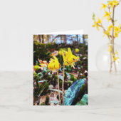 Carte de voeux pliée avec photo fleur sauvage (Fleur jaune)