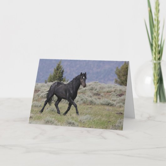 Carte de voeux pliée Black Mustang Stallion (Devant)