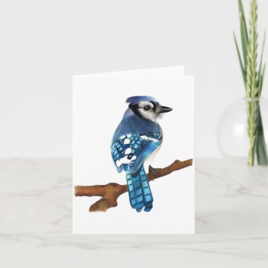 Carte de voeux pliée blanche pour oiseaux Blue Jay (Devant)