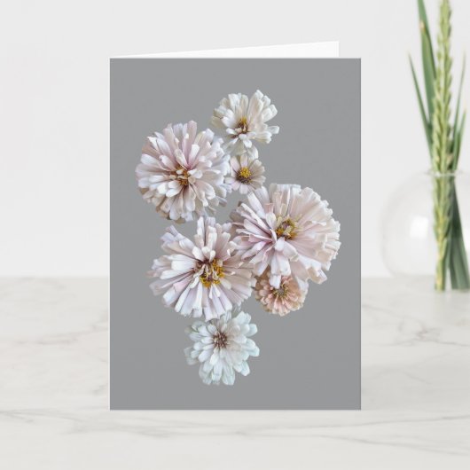 Carte de vœux pliée Blush Zinnia (Devant)