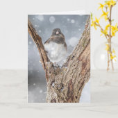 Carte de voeux pliée "Chilling" Junco, 5" x 7" (Fleur jaune)