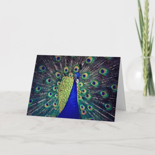 Carte de vœux pliée Cobalt Blue Paon (Devant)