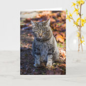 Carte de voeux pliée de chat funky (Fleur jaune)