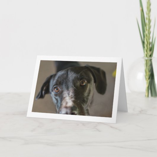 Carte de voeux pliée en blanc "Best Friend" (Devant)