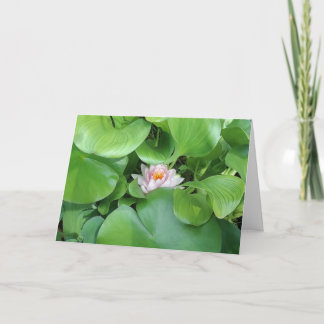 Carte de voeux pliée en lotus