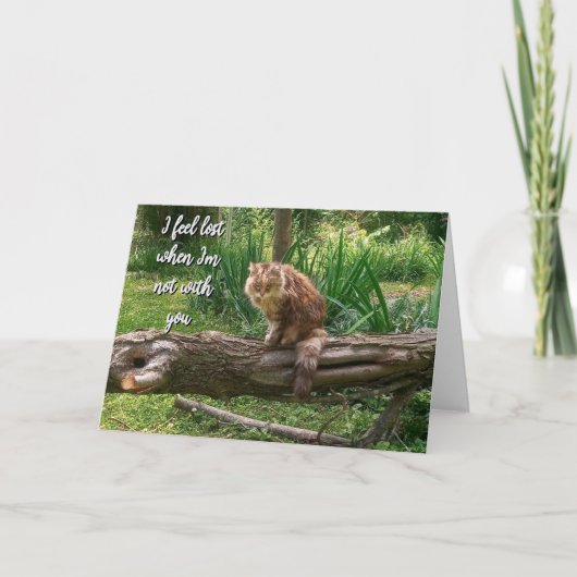 Carte de vœux pliée photo de chat manquant (Devant)