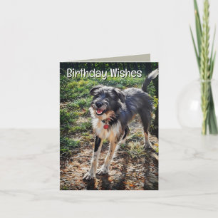 Carte de vœux pliée pour l'anniversaire de Labrado