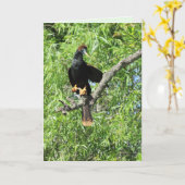 Carte de voeux pliée pour le mâle Anhinga (alias S (Fleur jaune)