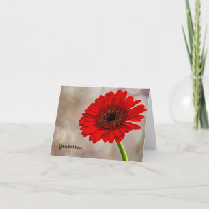 Carte de voeux pliée Red Gerbera