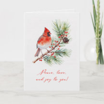 Carte de vœux pliée Rouge Cardinal Noël Oiseau