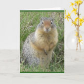 Carte de voeux pliée standard de 5 po x 7 po (Fleur jaune)