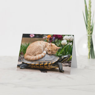Carte de voeux pliée table et tortue