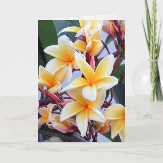 Carte de voeux Plumeria jaune (Devant)
