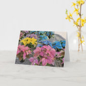 Carte de vœux poinsettia (Fleur jaune)
