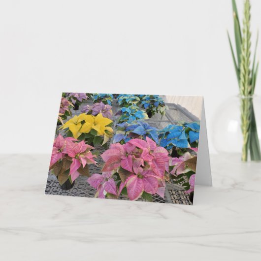 Carte de vœux poinsettia (Devant)